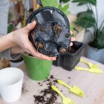 Jak sprawdzić czy pompa cyrkulacyjna działa sprawnie? Metody weryfikacji